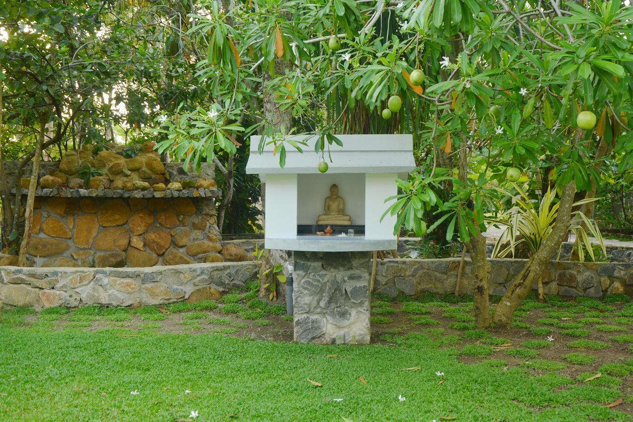 بالابيتييا Nature Paradise Villa المظهر الخارجي الصورة