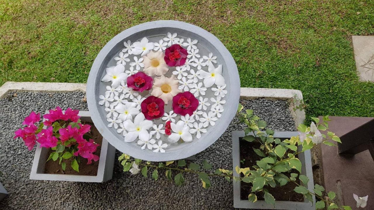بالابيتييا Nature Paradise Villa المظهر الخارجي الصورة